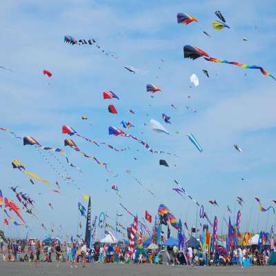 International Kite Festival Trip